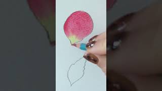 Watercolor Pencils HACK for beautiful details [upl. by Eahsat]