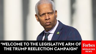 Hank Johnson At Wray Hearing Republicans Will Do Anything To Protect Donald Trump Their Savior [upl. by Judi]