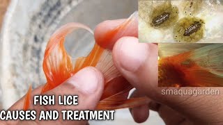 Fish lice treatement  in tamil [upl. by Asirrac]