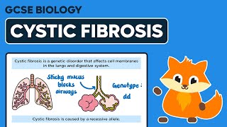 Inherited Disorders Cystic Fibrosis  GCSE Biology [upl. by Chin]