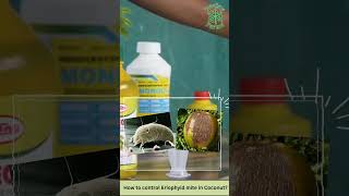 How to control Eriophyid mite in Coconut  2 [upl. by Yerxa]