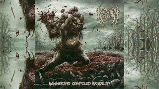 Kraanium  Hammering Compiled Brutality 2022 HD [upl. by Acenom265]