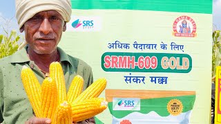 SRMH 609 gold SRI RAMA SEEDS MAIZE 🌽🌽🌽 [upl. by Irwin]