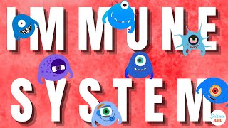 Immune System Innate and Adaptive Immunity Explained [upl. by Nitsud970]