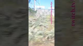 VLINE Albury NSW To Southern Cross 101024 vline shorts shortvideo train travel views [upl. by Eyoj]