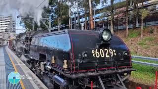 Steam Locomotive 6029  Gosford Platform  July 2024 [upl. by Bergwall]