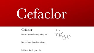 Cefaclor ceclor cephalosporins antibiotic  cefaclor antibiotic and cefaclor uses [upl. by Bronder]