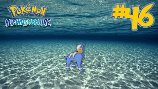 Pokémon Alpha Sapphire  Shiny Hunting  Houndour 86 Egg Hatches [upl. by Lindblad]