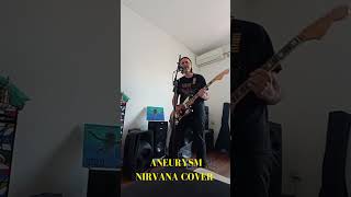 Aneurysm Nirvana Cover Dive [upl. by Ggerk74]