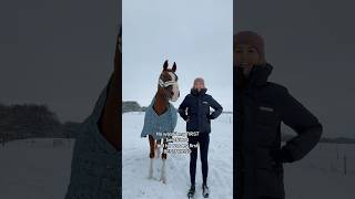 Bestfriend 🥰 equestrian horse horses pony pferde cheval hest trending funny [upl. by Amalburga989]