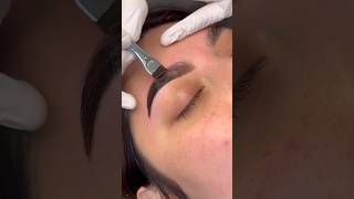 Eyebrow Tinting amp Dyeing Transformations 😘 [upl. by Gherlein]