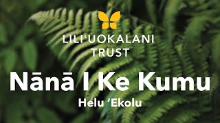 Nānā I Ke Kumu Helu ʻEkolu  Liliʻuokalani Trust [upl. by Onin]