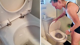 Quickly Fix a Toilet Seat With Hidden Fixings [upl. by Yasmar]