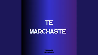 Te marchaste [upl. by Marguerie]