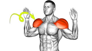 Shoulder Exercises with Bodyweight Only [upl. by Laforge]