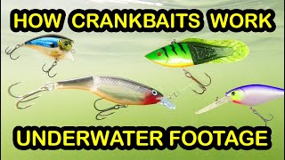 How To Fish Crankbaits and Types of Crankbaits  Underwater Fishing Lures amp Crankbait Tips [upl. by Teloiv]