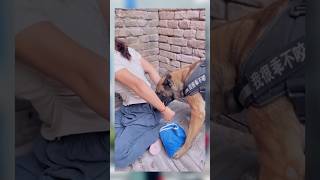 fypviral doglover unfezzmyaccount doglove 1m funny 1mfamily doglovers dogowners trending [upl. by Gad]