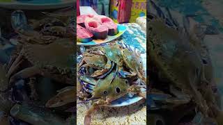 এটা সেরা 😋 youtube fish hilsa hilsafish hilsafry food cooking youtubeshorts outing enjoy [upl. by Lavella161]