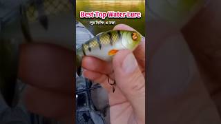 Best Lure Fishing video  Top water lure shorts short lurefishing [upl. by Nakah202]