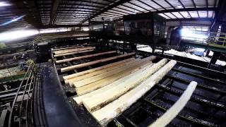 Collums Lumber Products LLC  Sawmill Tour [upl. by Hawkie]