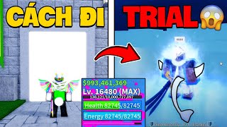 Roblox  Cách Đi TRIAL Thức Tỉnh TỘC V4 Race Awakening Được TIẾT LỘ Blox Fruit  Blox Fruits [upl. by Ylicic64]