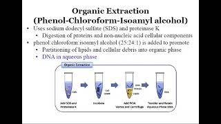 Phenol Chloroform method of DNA extraction  OAVS  CSIRNET [upl. by Nesnaj]