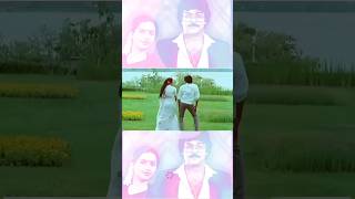 Telugu super hit melody chiranjeevi suhashini youtubeshorts telugushorts viralshorts music [upl. by Elodie]