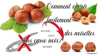 Comment ouvrir facilement des noisettes Tests astuces  bêtisier How to open hazelnut tips amptrick [upl. by Xirdnek239]