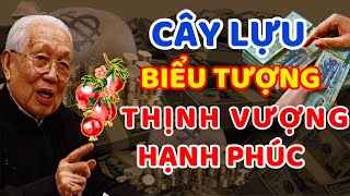 Trồng Cây Lựu Phúc Lộc Đầy Nhà Giàu Có 3 Đời Tiêu Sài Không Hết [upl. by Nylsej153]