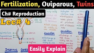 Fertilization Twins Oviparous Viviparous And Ovoviviparous In Urdu Hindi  Class 12 Biology [upl. by Robison298]