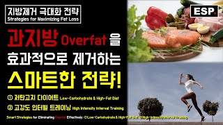 과지방 Overfat을 효과적으로 제거하는 스마트한 전략 저탄고지 다이어트 amp 고강도 인터벌 트레이닝┃지방제거 극대화 전략┃ESP ♥ [upl. by Danieu]