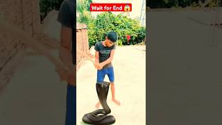 The killing Nagraj🐍  funny nag short video pankajffyt62 funny😓trending viral [upl. by Sehcaep]