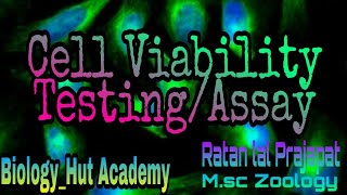 Cell Viability TestingAssay by Ratan lal Prajapat Cell cytotoxicity MTT Assay Cell Viability [upl. by Sirob78]