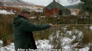 Working Bearded Collies Driving Tups In The Snow [upl. by Nathaniel]