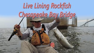 Kayak fishing the Chesapeake Bay Bridge [upl. by Ydnab]