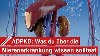 ADPKD  Wissen über Zystennieren Symptome Diagnose Therapie und Alltag [upl. by Rebekkah]