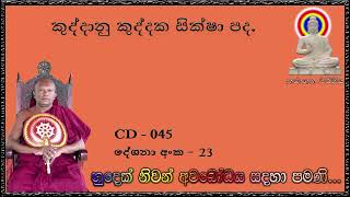 කුද්දානු කුද්දක සික්ෂා පද  Ven Waharaka Abayarathanalankara Himi Bana [upl. by Brenza]