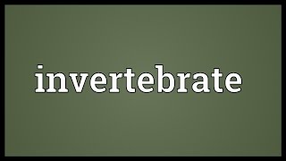 Invertebrate Meaning [upl. by Elleinad]