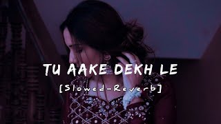 TU AAKE DEKH LE  KING 👑  SLOWEDREVERB  NIGHT RLXX [upl. by Marduk]