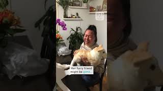 Woman gets emotional over toy replica of her deceased dog [upl. by Zeke876]