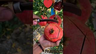 Pomegranate cutting skills  The pomegranate are very fresh fruitcuttingshort [upl. by Kcyrred957]