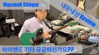 첫 기타 리뷰 맥멀 스팅어 Macmull stinger Review [upl. by Nuriel950]