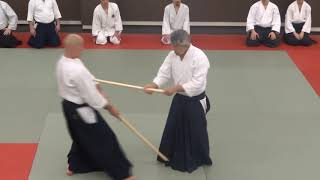 Aikido  Aiki Ken  Hiroshi Ikeda Sensei [upl. by Snebur148]