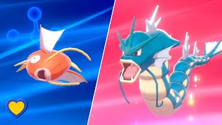 HOW TO Evolve Magikarp into Gyarados in Pokémon Sword and Shield [upl. by Taft29]