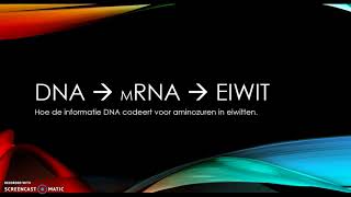 DNA mRNA eiwit transcriptie en translatie [upl. by Scarlet873]