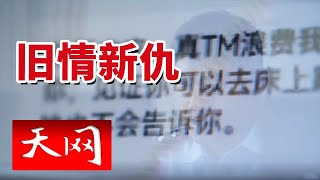 《天网》多人长期遭受网络暴力！为何不愿意告诉民警？20241017 [upl. by Katie]