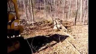 D6 CAT DOZER PULLING LOGS AND LOGGING [upl. by Amein886]