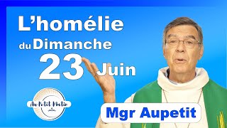 Évangile et homélie du Dimanche 23 Juin  Avec Mgr Aupetit [upl. by Ynneh]