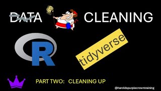 Data Cleaning in the R tidyverse Cleaning Up [upl. by Lama]