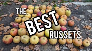 Keepers Nursery the best Russet apple varieties over 50 reviewed my favourites amp top 10 to grow [upl. by Gnoy651]